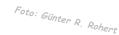 Foto: Günter R. Rohert